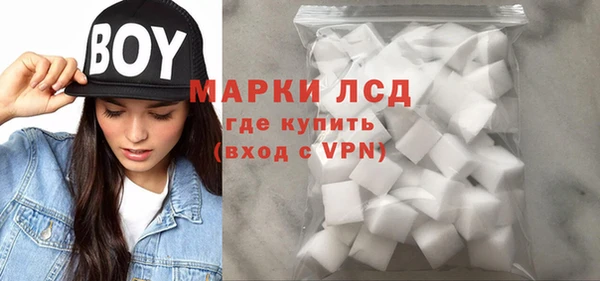 ALPHA PVP Елизово