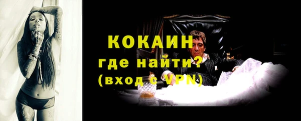 ALPHA PVP Елизово